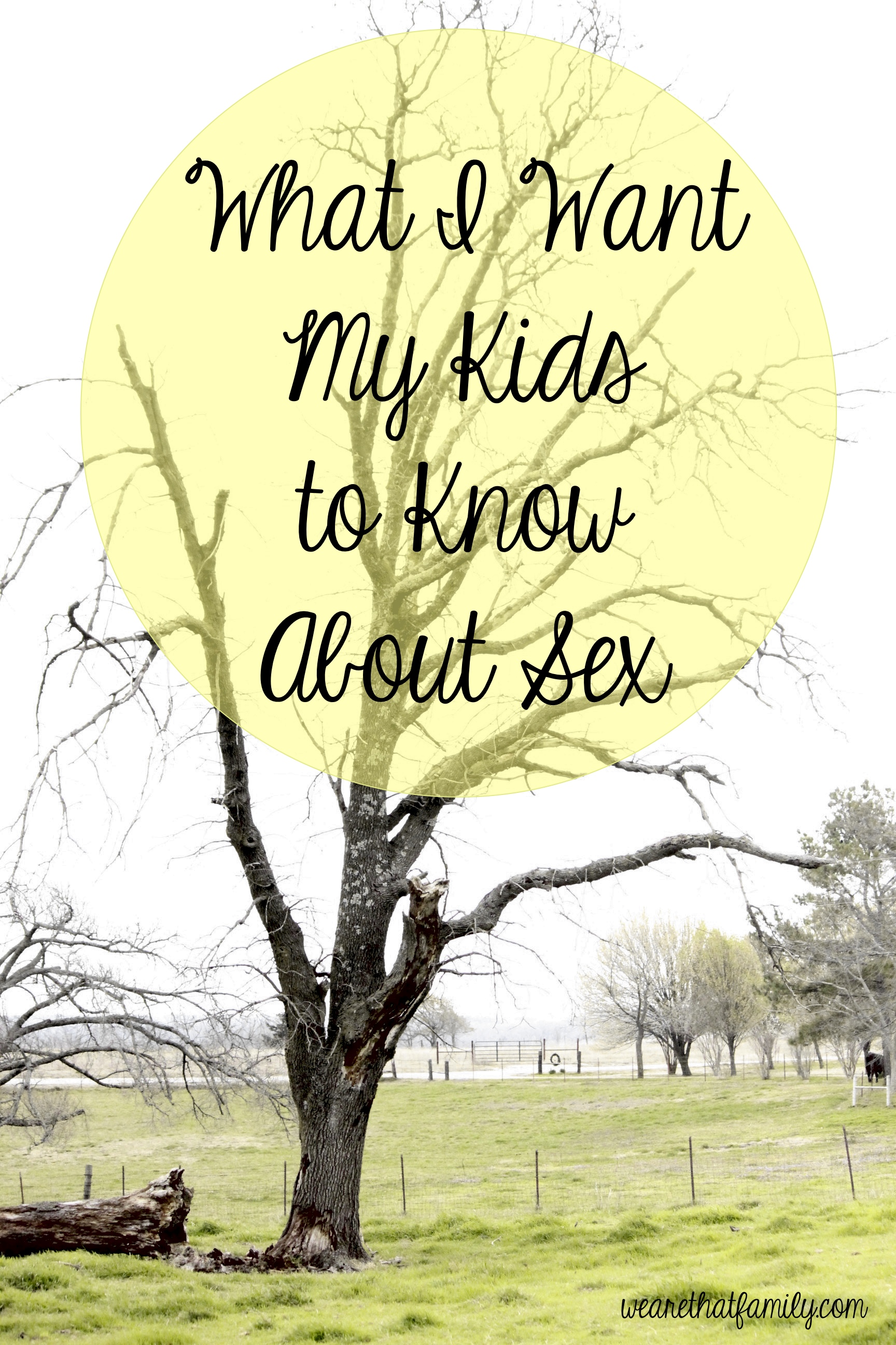 What I Want My Kids to Know About Sex