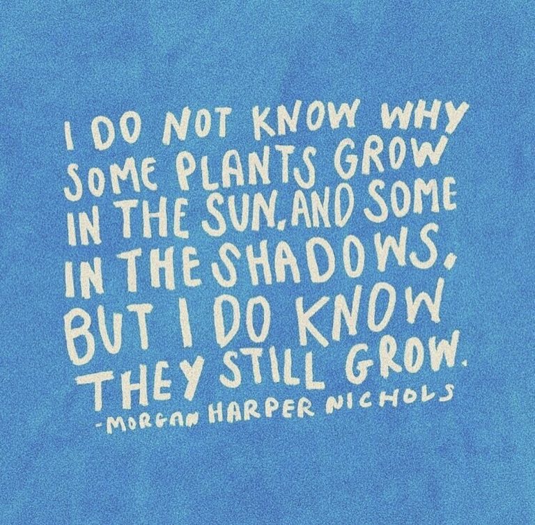 Sometimes When You’re in a Dark Place You Think You’ve Been Buried, But Actually You’ve Been Planted